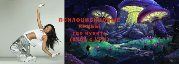 герыч Алексин