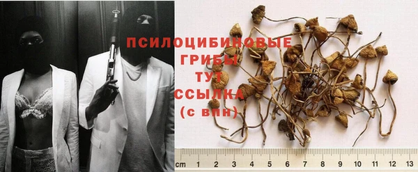 твердый Алзамай