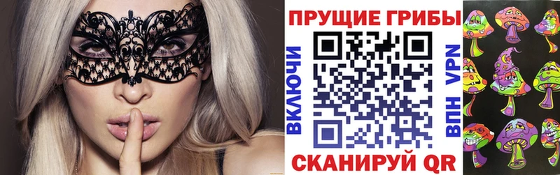 mega tor Новоульяновск Галлюциногенные грибы Psilocybine cubensis